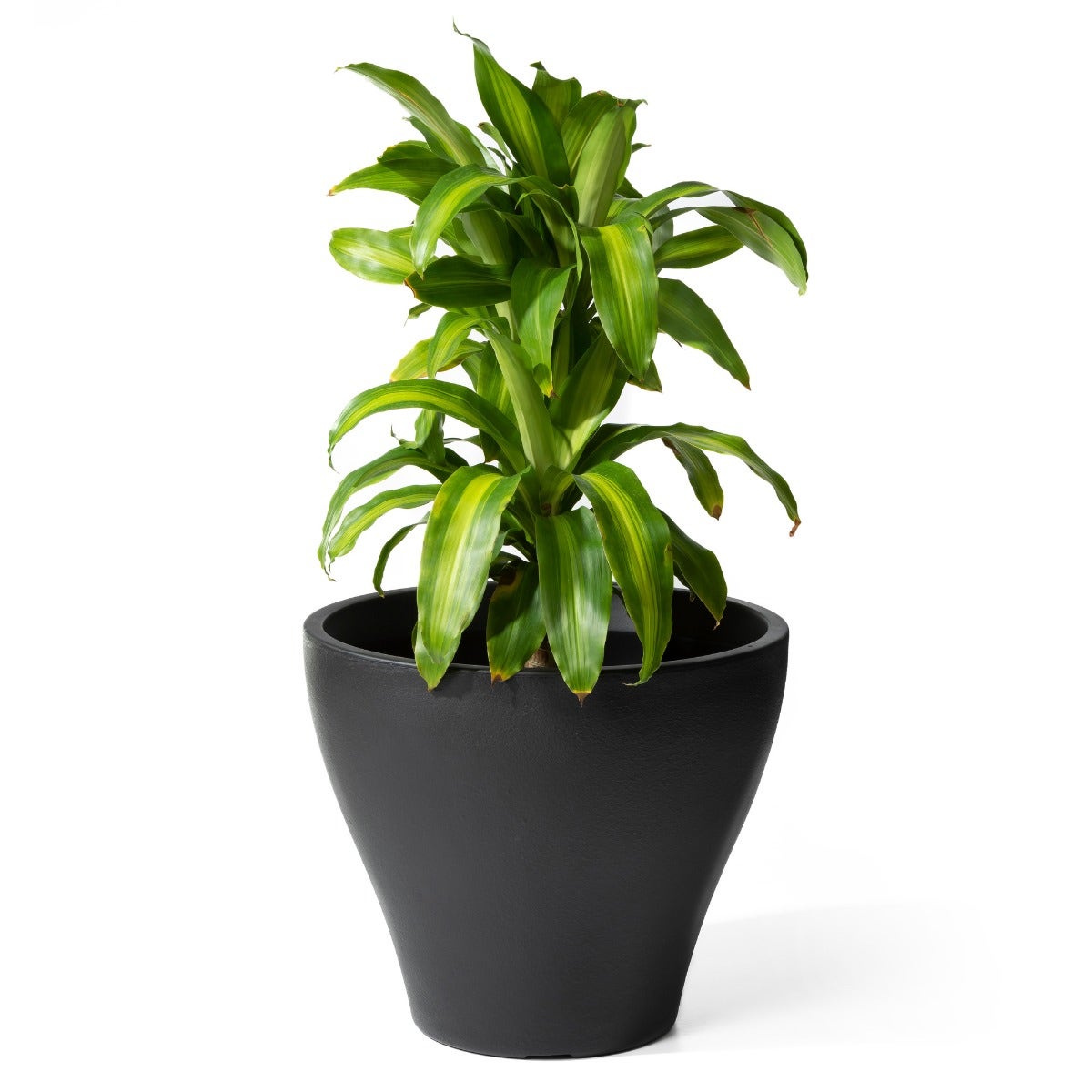Fernway Planter™ 2 Pack - Image 10