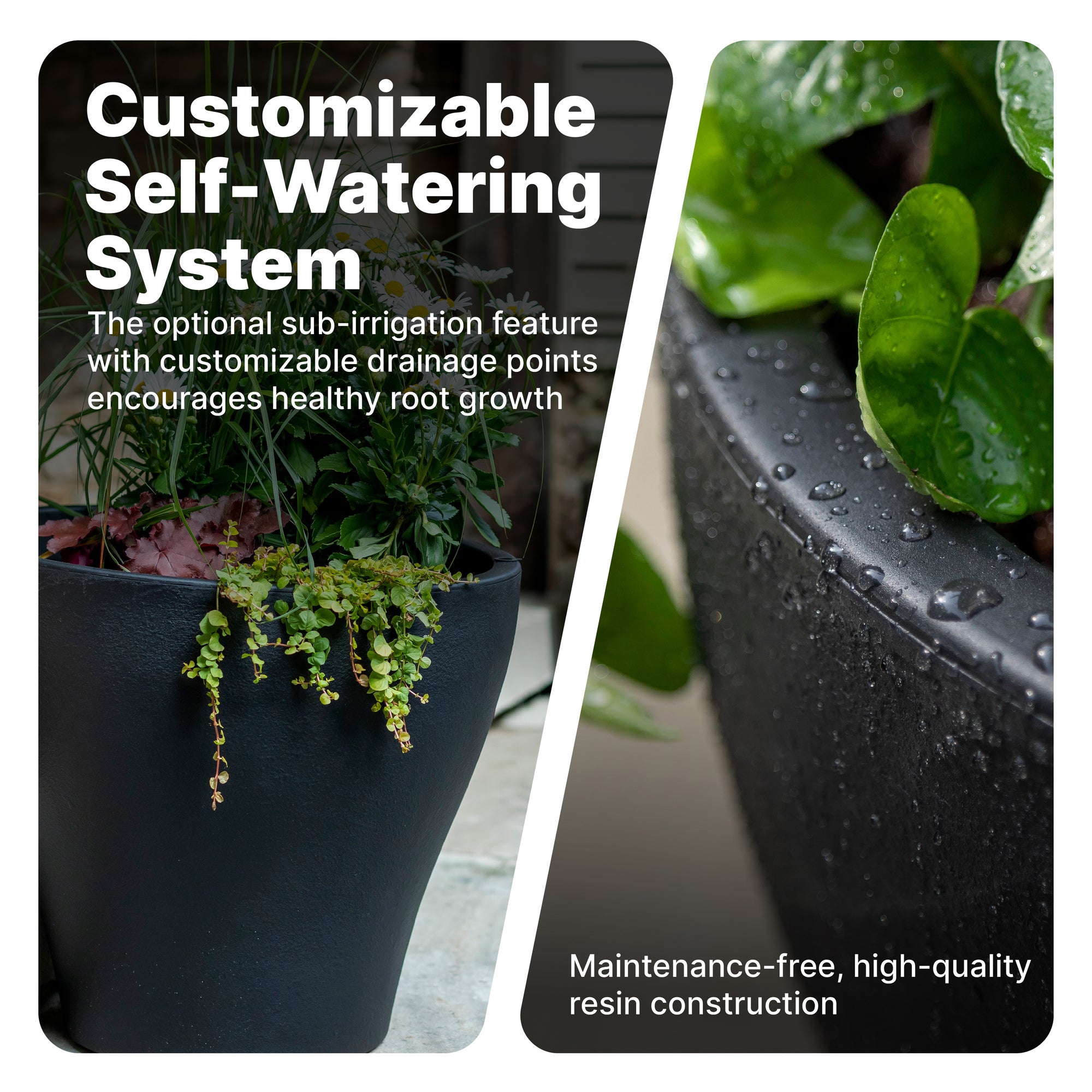 Fernway Planter™ 2 Pack - Image 2