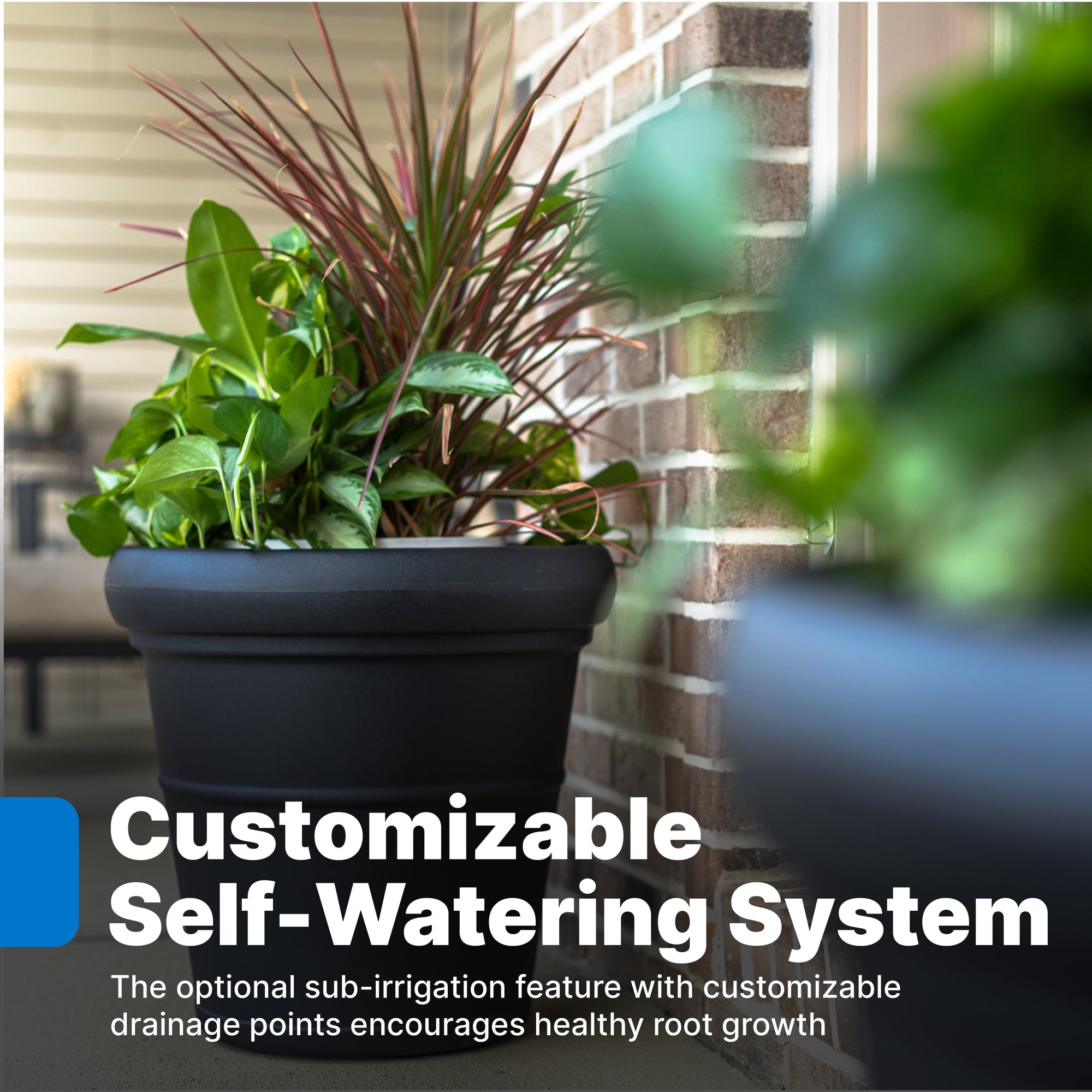 Claremont Planter™ 2 Pack - Image 6
