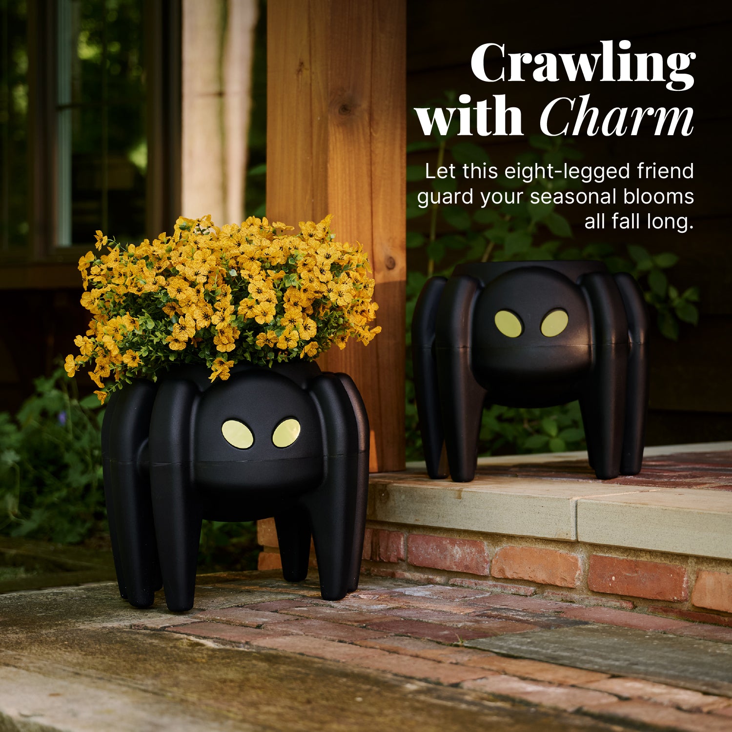 Spooky Spider Planter™ - Image 5